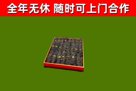 汕尾市回收海参